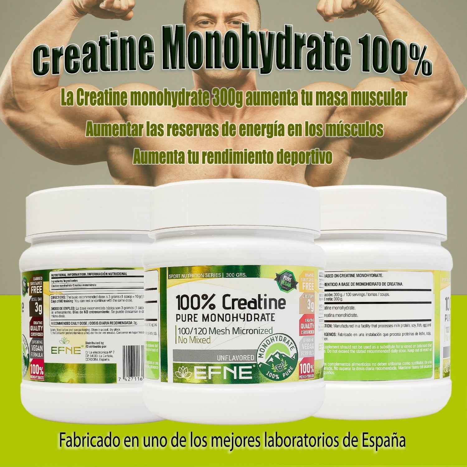 Creatina Monohidrato EFNE – 200 Mesh Micronizada de Alta Absorción