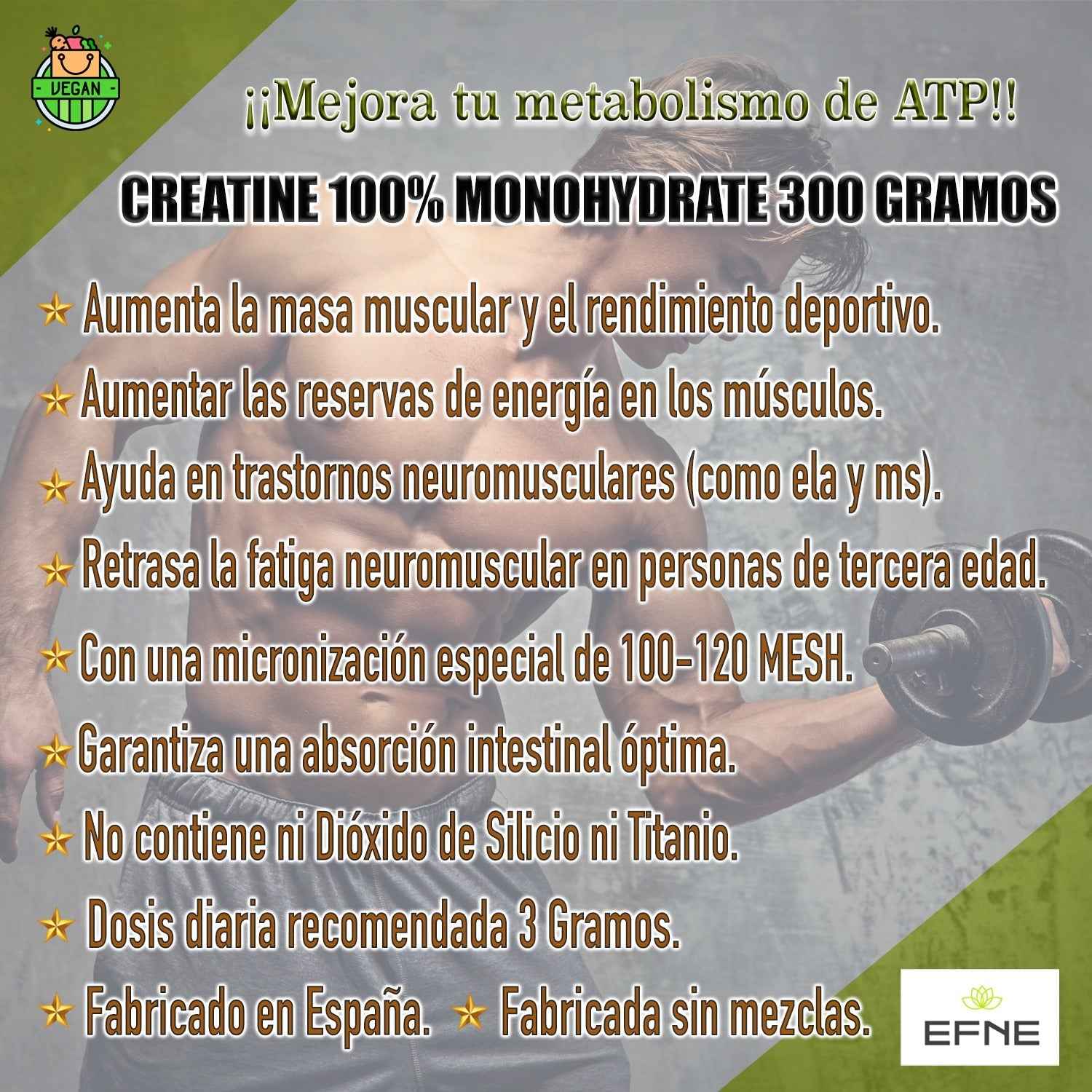 Creatina Monohidrato EFNE – 200 Mesh Micronizada de Alta Absorción