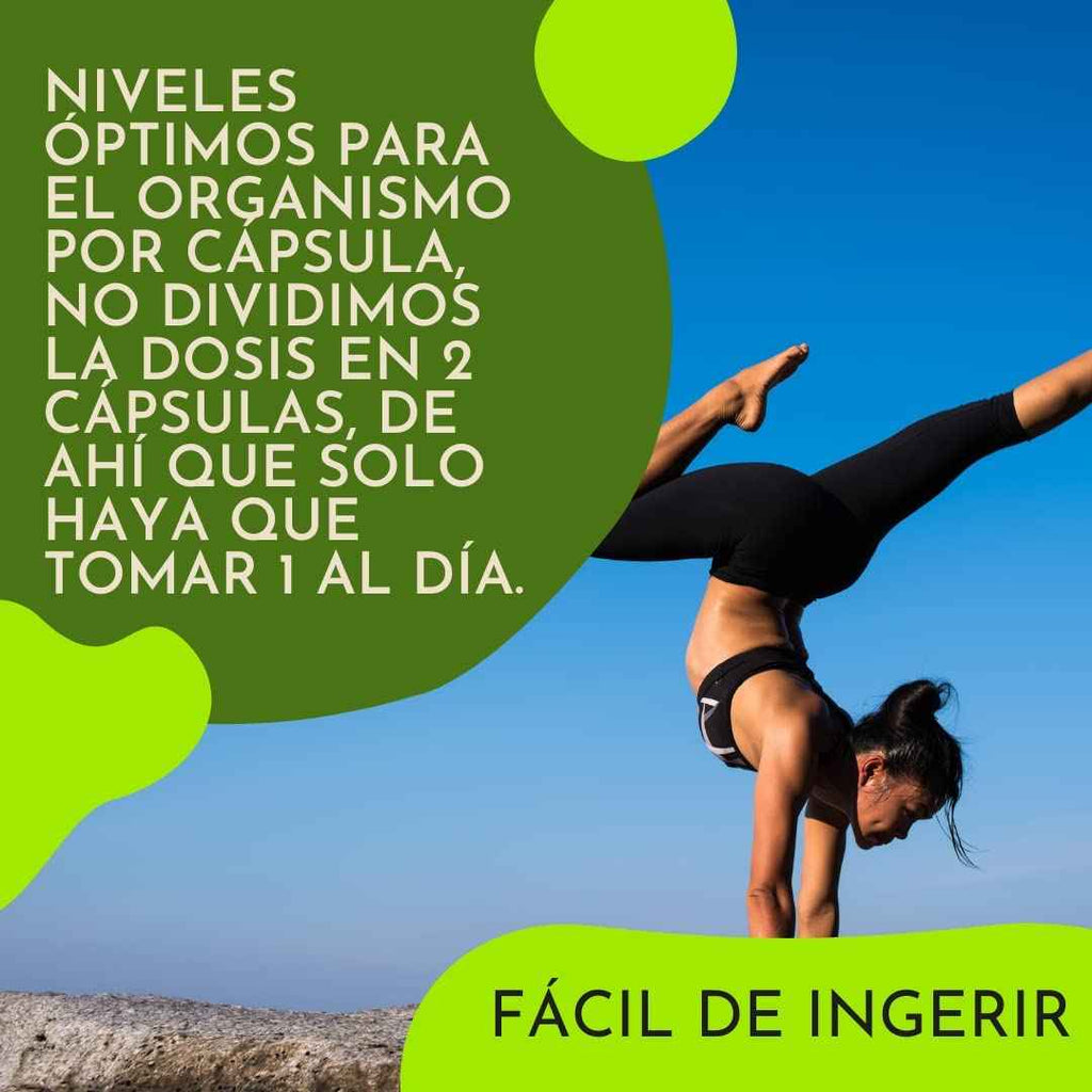 MULTISALUD PRO EFNE – Vitaminas y Minerales para Vitalidad Diaria