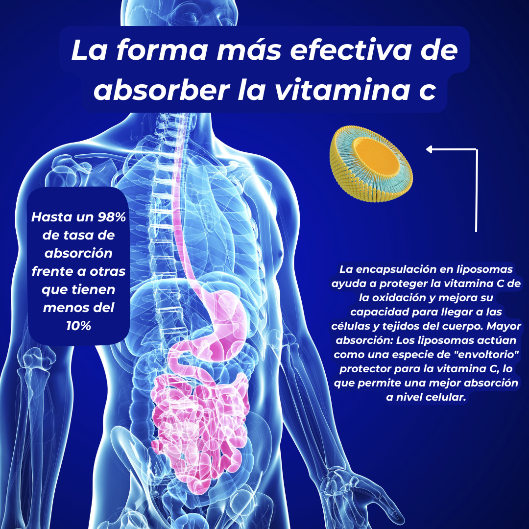 Vitamina C Liposomal EFNE | 1050mg