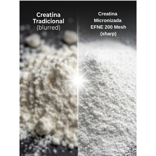 Creatina Monohidrato EFNE – 200 Mesh Micronizada de Alta Absorción