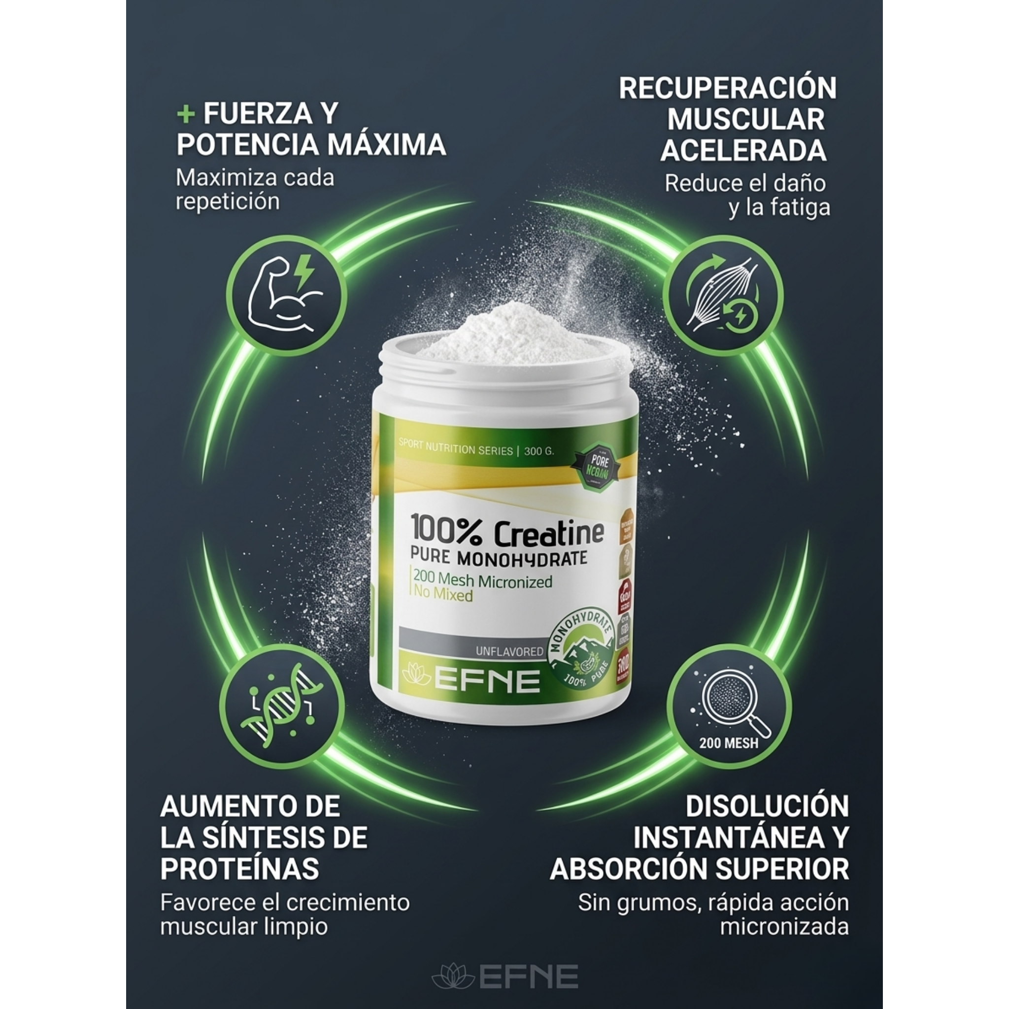 Creatina Monohidrato EFNE – 200 Mesh Micronizada de Alta Absorción