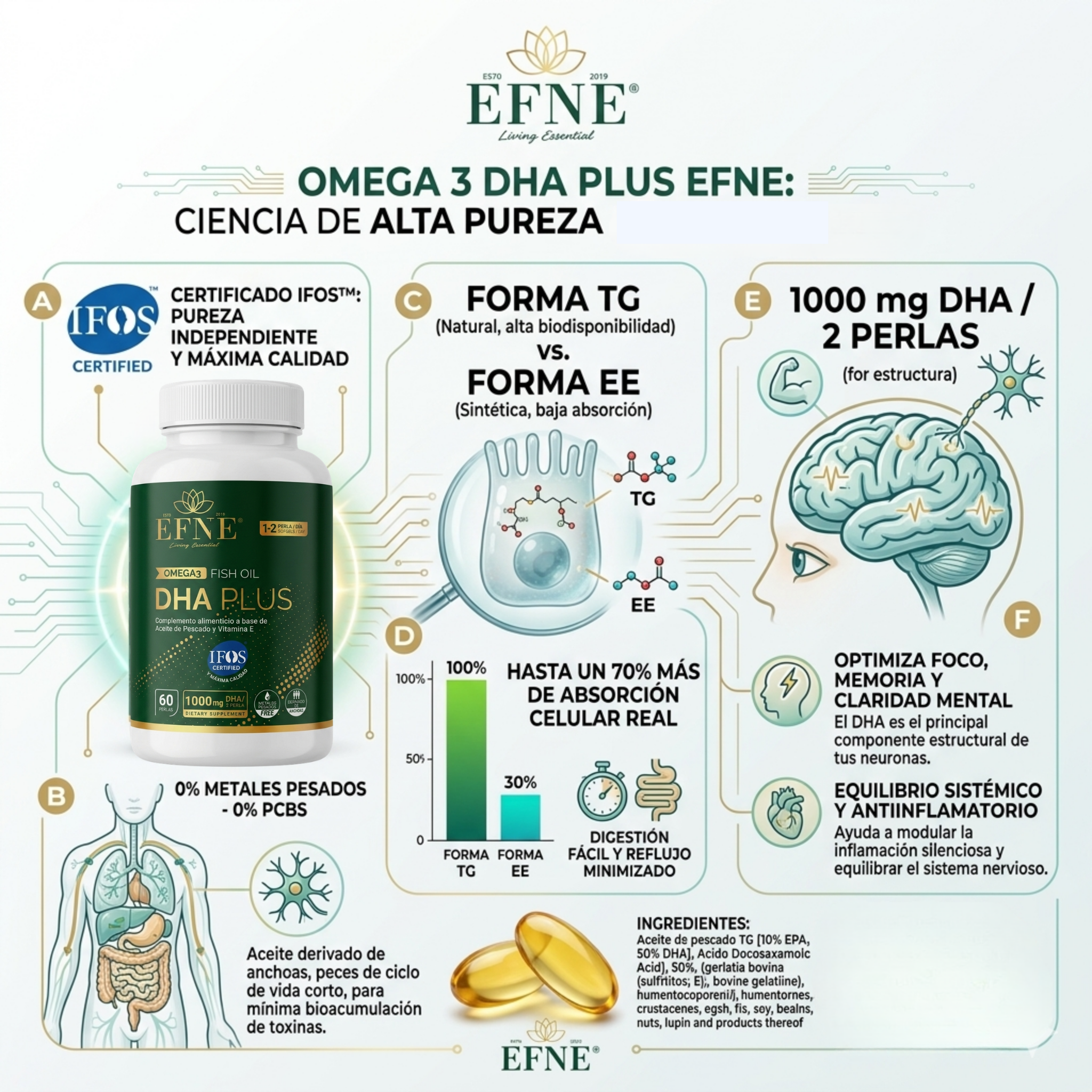 Omega 3 DHA Plus EFNE (Certificación IFOS™) – 60 Perlas | Forma de Triglicérido (TG)