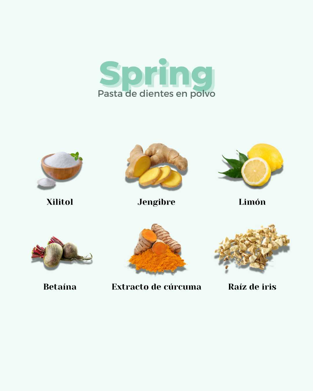 Refill Pasta de Dientes en Polvo ECO SPRING